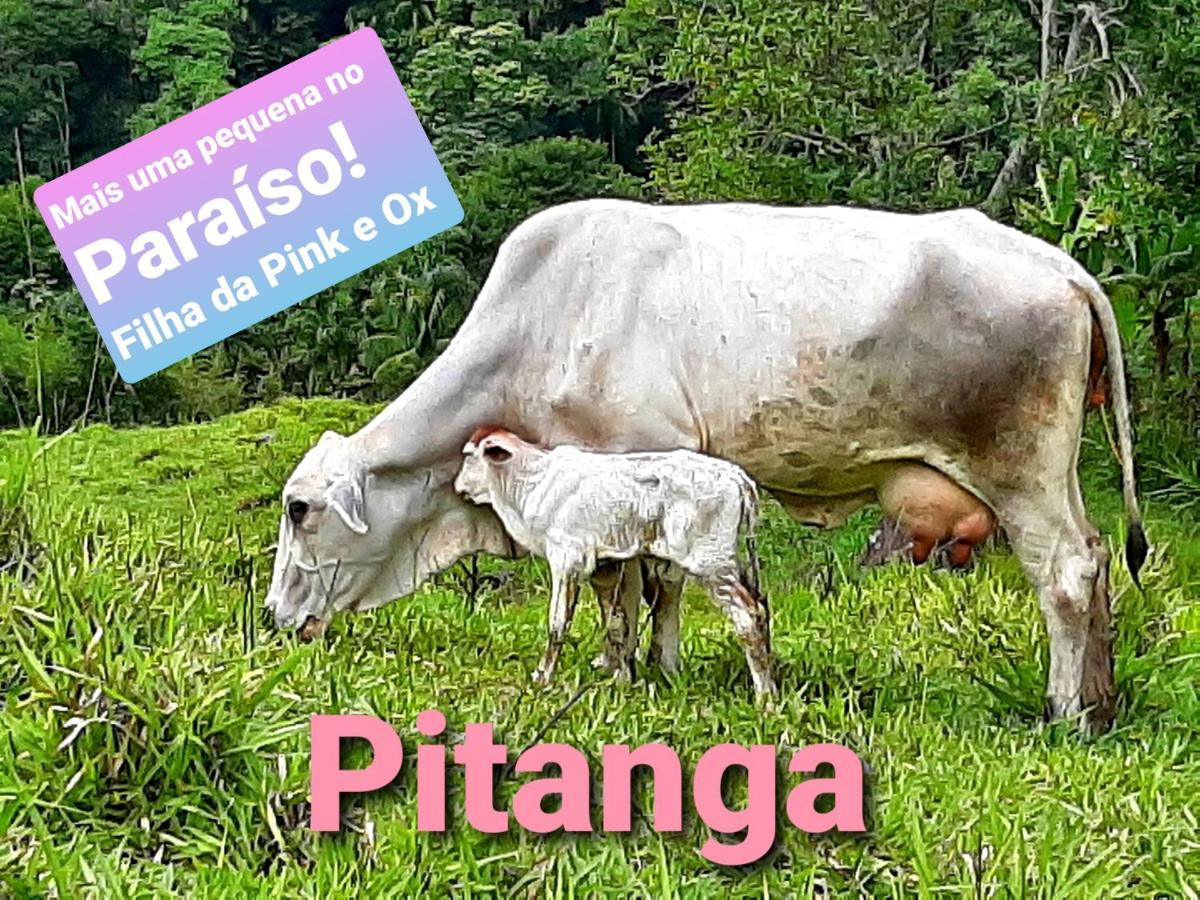 Fazendinha Paraiso Lumiar Eksteriør billede